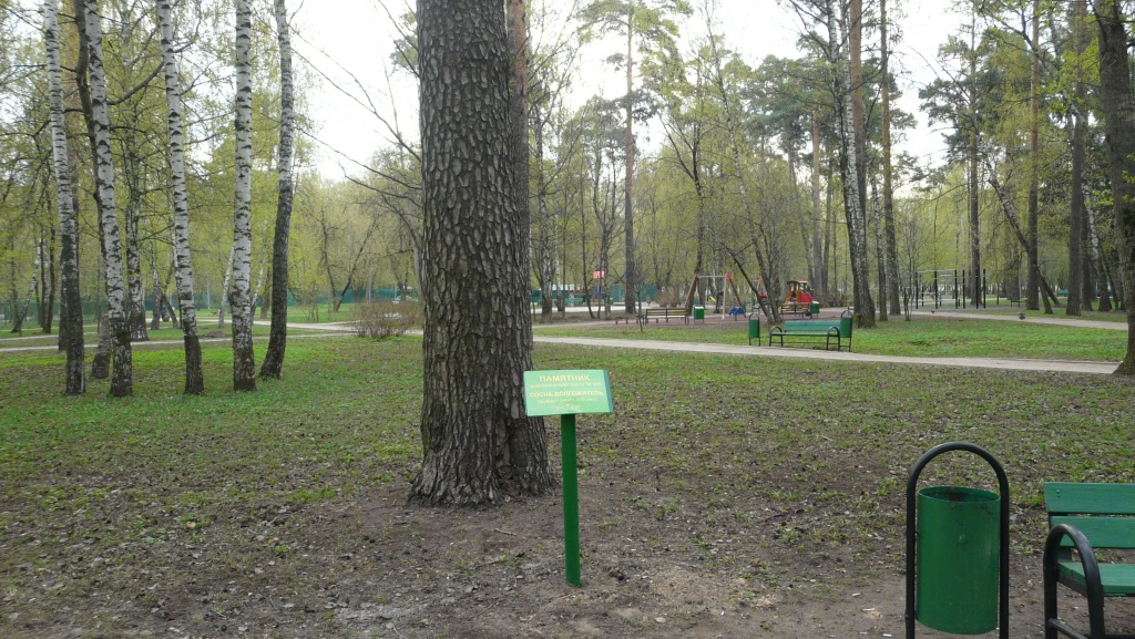 P1140463.JPG