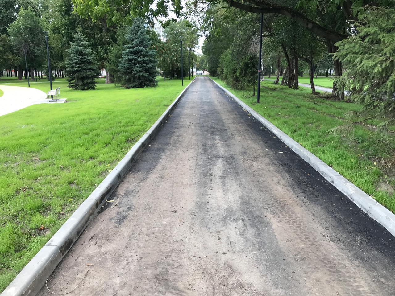парк Торфянка август